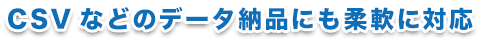 CSVなどのデータ納品にも柔軟に対応